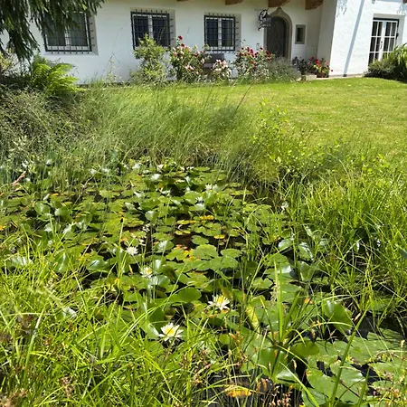 Bergblick Apartman *