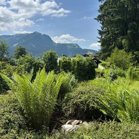 Bergblick Daire Kitzbühel