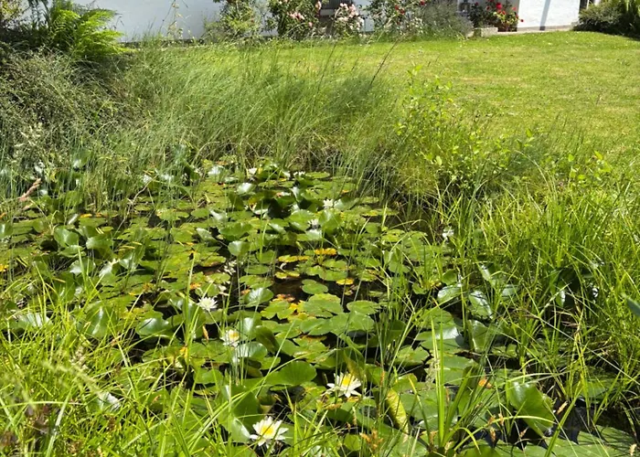 Bergblick Lägenhet *
