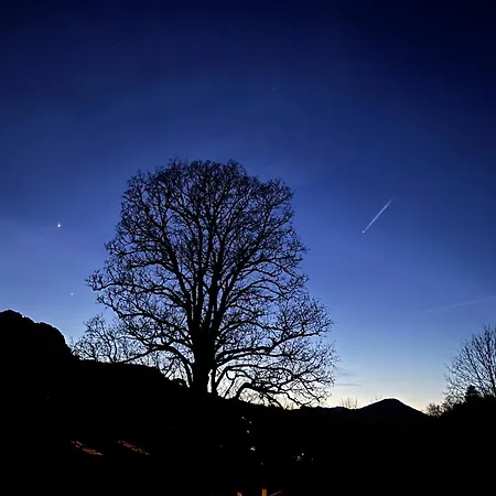Bergblick 公寓